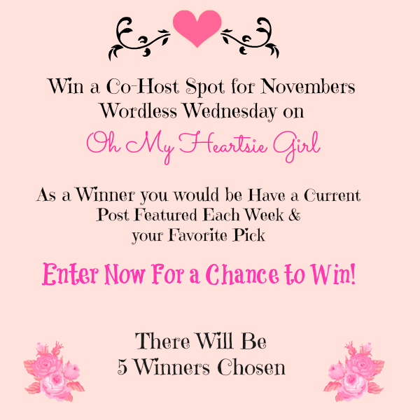 Win a Co-host position for Wordless Wednesday on Oh My Heartsie Girl