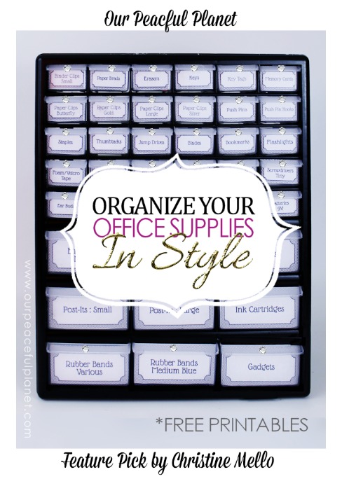 Organize-Office-Supplies-in-Style-with-a-Plastic-Parts-Cabinet