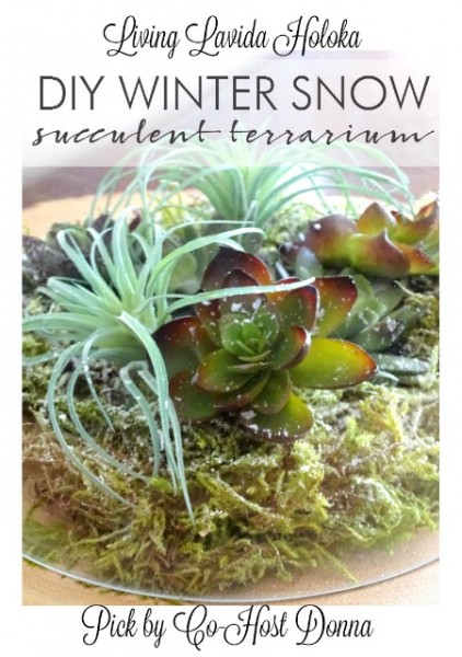 living-lavida-holokasnow-succulent-terrarium