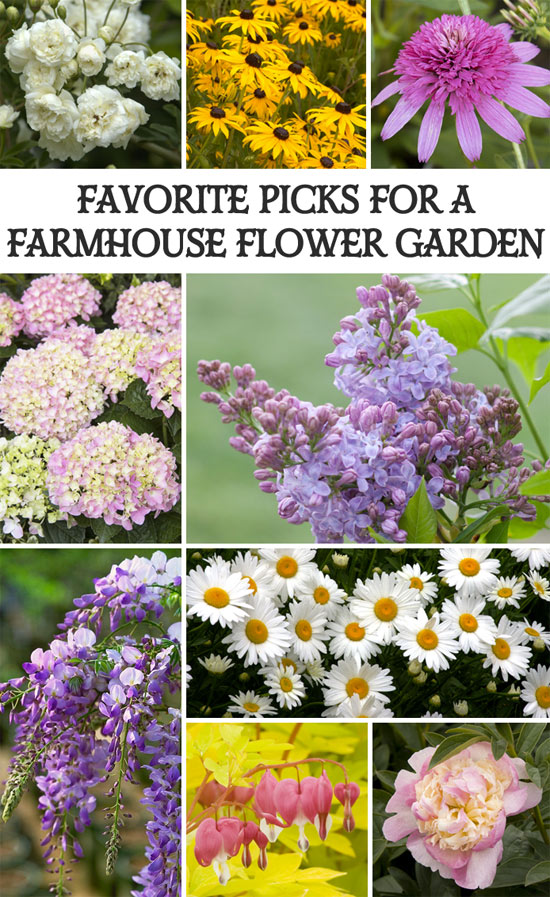 Hello Farm House Spring flower-garden-picks Its spring gather the tools and fresh plants and make your garden look pretty